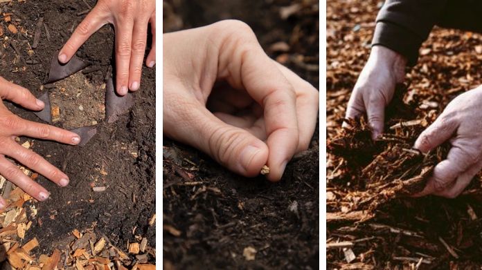 no till gardening