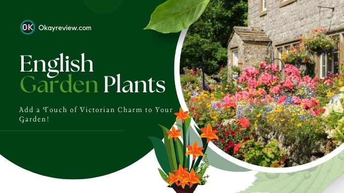 english garden plants